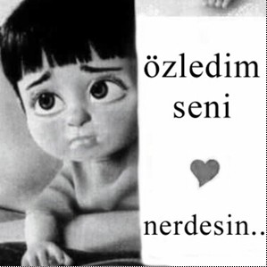 NERDESİN