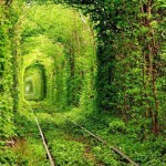 Üskürd’ün yollarında Aradım at izler