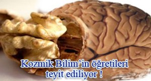 Bilim Maranki Dedi