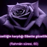 Güzelliğin Karşılığı Elbette Güzelliktir