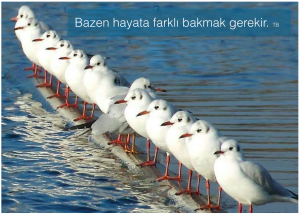 Hayata Bazen Farklı Bakmak Gerekir