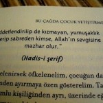'Hiddetlendirilip de Kızmayan, Yumuşaklık Gösterip Sabreden Kimse, Allah'ın Sevgisine Mazhar Olur