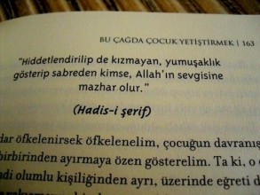 'Hiddetlendirilip de Kızmayan, Yumuşaklık Gösterip Sabreden Kimse, Allah'ın Sevgisine Mazhar Olur