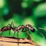 Bunu biliyor musunuz ?