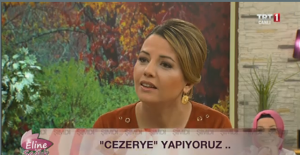 eline sağlık programı cezerye yapıyorlar