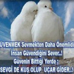 güvenmek sevmektir