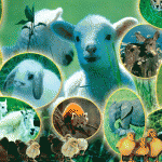 hayvanlar hakkında hadisler