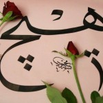 çiçeklerin şahı gül