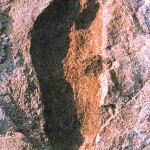 İLKEL İNSANIN ANADOLU’DAKİ AYAK İZLERİ