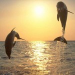 güneş dogarken bir ben