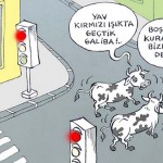 trafik eğitimi