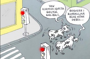 trafik eğitimi