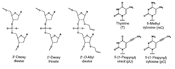 DİESTERDİESTER