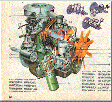 Petrol ve gaz motorları