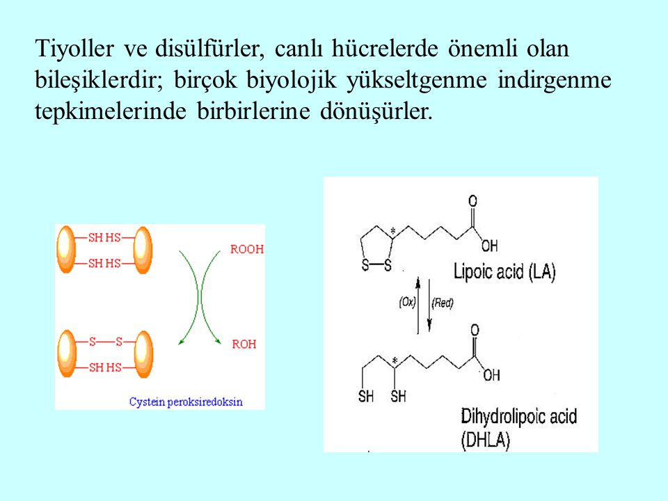 DİSÜLFÜRLER