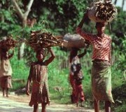 DONDO, Afrika’da (Kuzeybatı Angola)