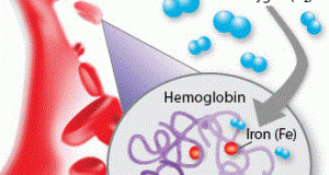 hemoglobin