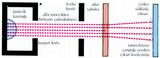 Sir Ernest Rutherford altın tabakasını alfa tanecikleriyle (pozitif yüklü helyum çekirdeği) bombalayarak ve taneciklerin nasıl dağıldıklarını öğrenmek için çinko sülfürlü ekran kullanarak, atom yapısını incelemiştir {A). Atomların>, negatif yüklü elektronlar tarafından çevrelenen, pozitif yüklü çekirdek içerdiğini ortaya koymuştur (B). Alfa tanecikleriçekirdeklerinin çoğunun yanından belli bir uzaklıktan geçer ve doğrultusunu çok fazla değiştirmezler (1); ama birkaçı daha yakından geçer ve çekirdeğin yükü tarafından itilir {2) ya da doğrudan doğruya çekirdeğe çarpıp, geri sıçrarlar (3).Sir Ernest Rutherford altın tabakasını alfa tanecikleriyle (pozitif yüklü helyum çekirdeği) bombalayarak ve taneciklerin nasıl dağıldıklarını öğrenmek için çinko sülfürlü ekran kullanarak, atom yapısını incelemiştir {A). Atomların>, negatif yüklü elektronlar tarafından çevrelenen, pozitif yüklü çekirdek içerdiğini ortaya koymuştur (B). Alfa tanecikleriçekirdeklerinin çoğunun yanından belli bir uzaklıktan geçer ve doğrultusunu çok fazla değiştirmezler (1); ama birkaçı daha yakından geçer ve çekirdeğin yükü tarafından itilir {2) ya da doğrudan doğruya çekirdeğe çarpıp, geri sıçrarlar (3).