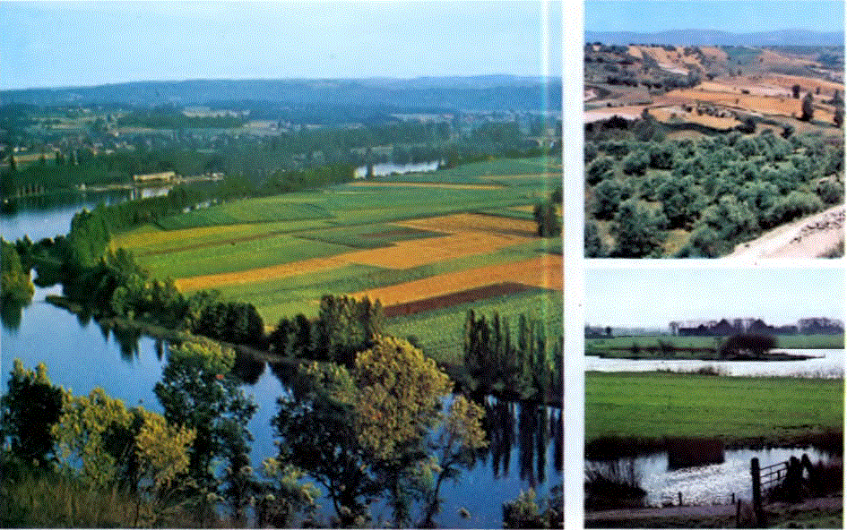  Güneybatı Fransa'daki Dordogne ırmağı vadisi önemli bir tarım bölgesidir ve özellikle yetiştirdiği tahıllarla dikkat çeker. Apennin dağlarının İtalya'nın güney ucundaki Calabria bölgesindeki vadilerinde zeytincilik çok yaygındır. (Dipte sağda) Hollanda'da\, Kuzey Buz denizi kıyısındaki\ovalarda otlaklar uzanır.