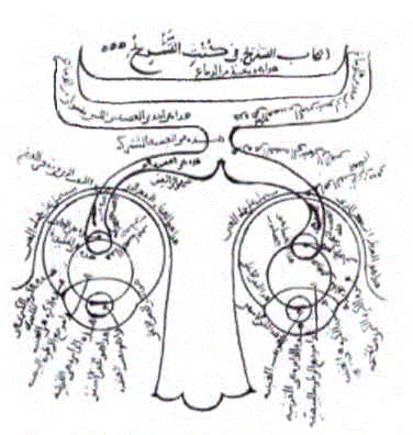 ibn-i-heysemin-gozun-anatonomisini-gosteren-cizimi