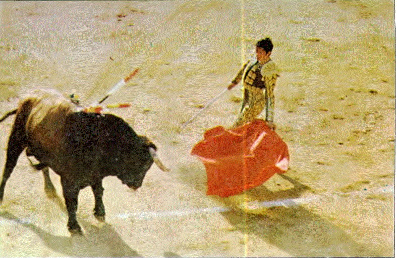 Bir süblimasyon örneği: Matador ve kurbanı