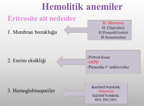 hemolitik-ve-yapim-bozuklugu-anemileri