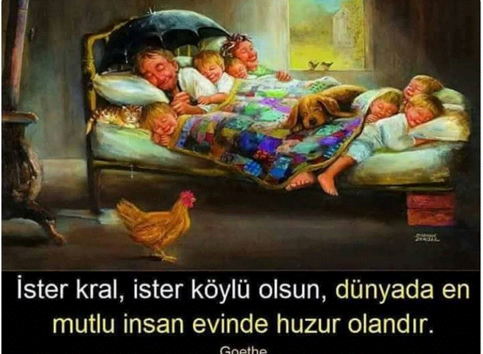 Evinde Huzur Sevgi Budur