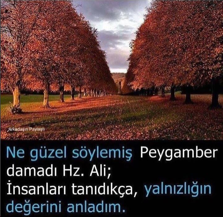 Yalnızlığın Değerini Anladım