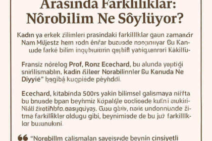 Kadın ve Erkek Beyinleri Arasında Farklılıklar